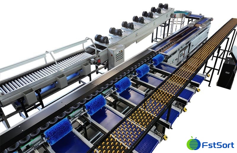 images/1741944789600Máquina de clasificación y procesamiento de pitaya.jpg